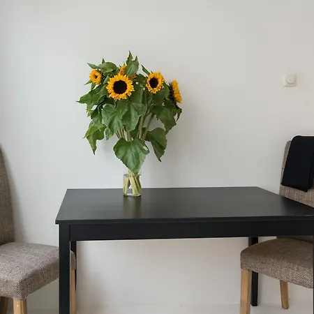 Comfy Studio In Trendy Area Pansiyon